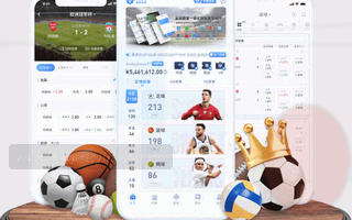 安卓版BSPORT主页产品示意图