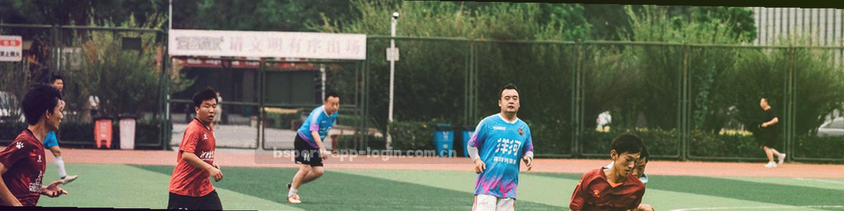 盾牌与数据锁构成的隐私安全抽象图形